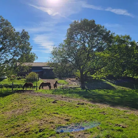 Ruge * Sankt Michaelisdonn