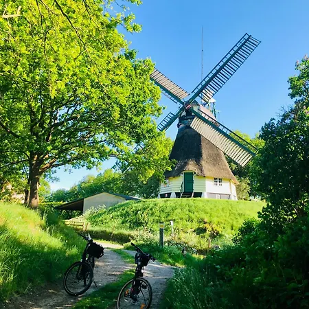 Ruge Sankt Michaelisdonn